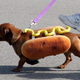Illustration for article titled Na de mi a helyzet a hot doggal?